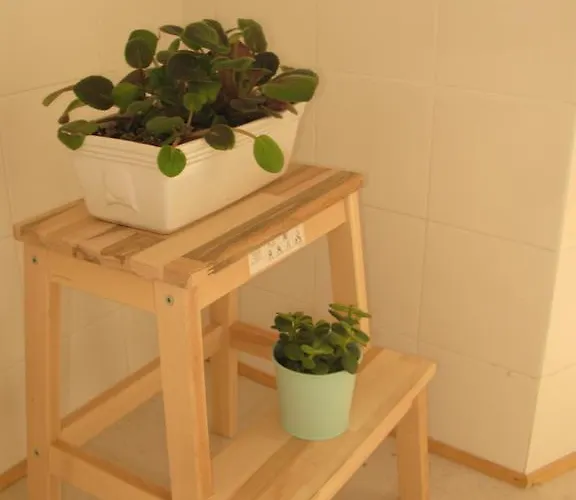 Appartement Lisbonne Estrela Lisboa